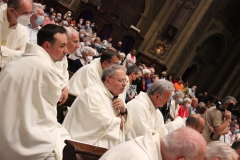 1_Grazie-don-Leone-22